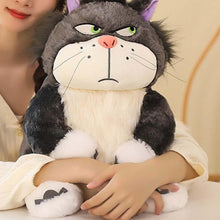 Adorable Angry Cat Plush Snuggly Soft Stuffed Animal